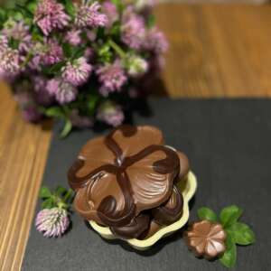 Čtyřlístek k plnění | Bílá čokoláda v kombinaci s mléčnou čokoládou
