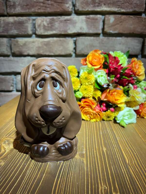 Pes | Mléčná čokoláda