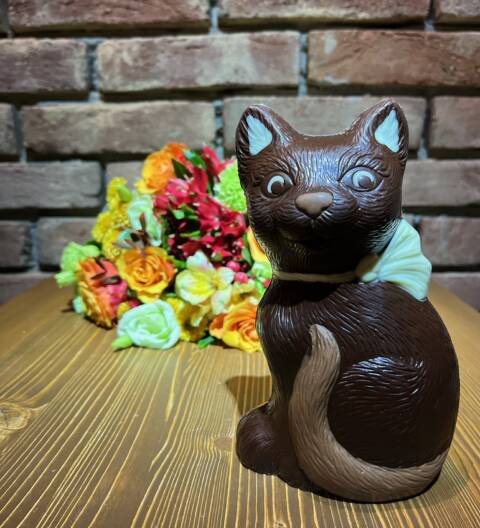 Kočka | Hořká čokoláda