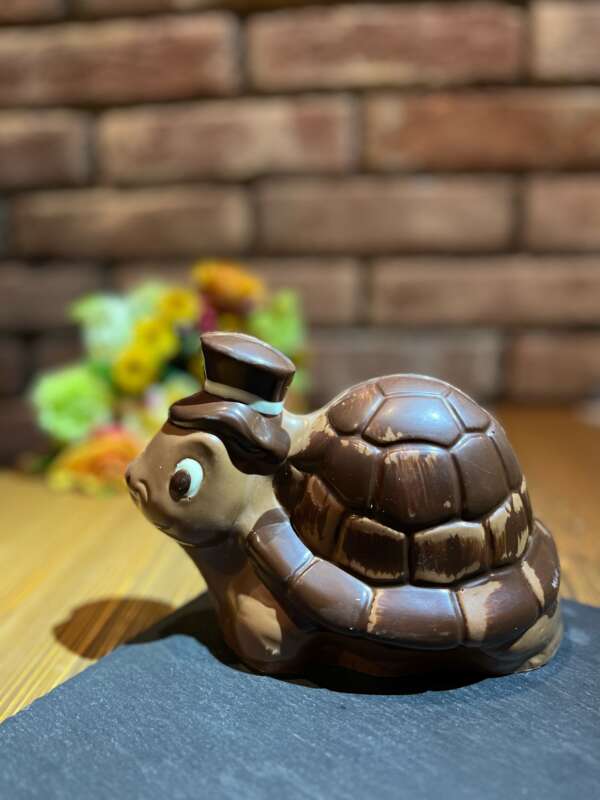 Želva | Mléčná čokoláda
